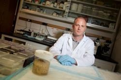 Professor Sherwood in the GW laboratory examining a chimpanzee brain